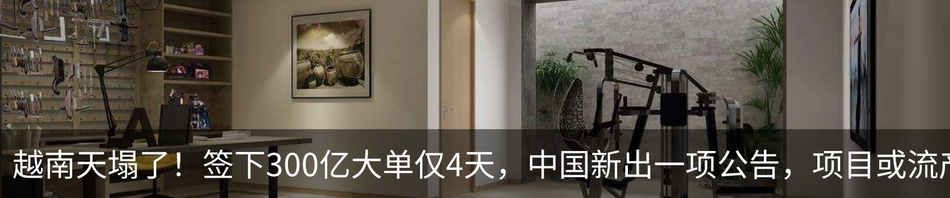 资讯动态
